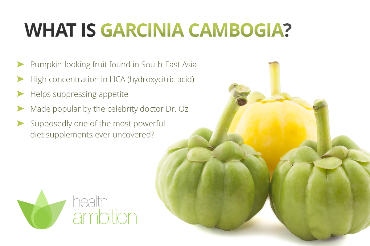 Garcina Cambogia HCA Weight loss Fact or Fiction Ageless